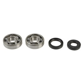CRANKSHAFT REBUILDING KIT
