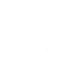 FORK SEAL RSD2 30X40X8/9