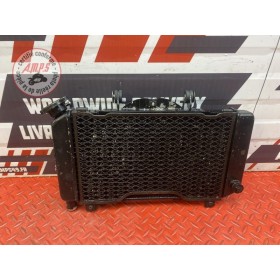 Radiateur d'eau AVEC GRILLE 