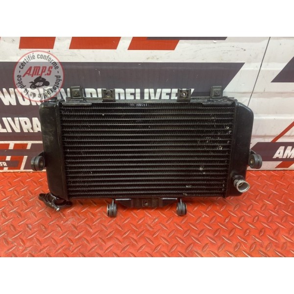 Radiateur d'eau AVEC GRILLE 