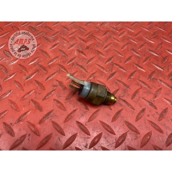 Sonde de température d'eau