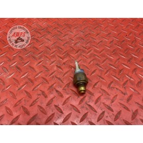 Sonde de température d'eau 