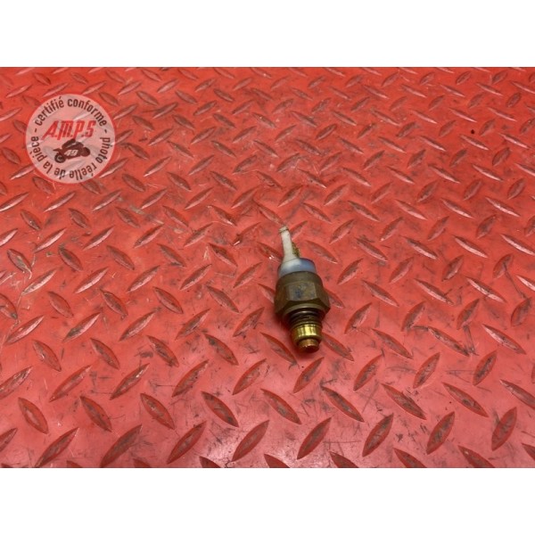 Sonde de température d'eau 