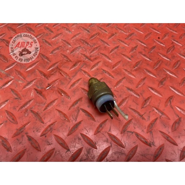 Sonde de température d'eau 