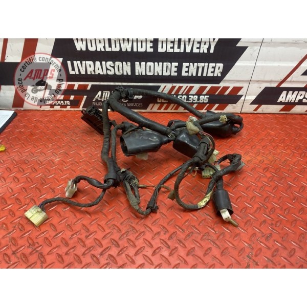 Faisceau électrique principale