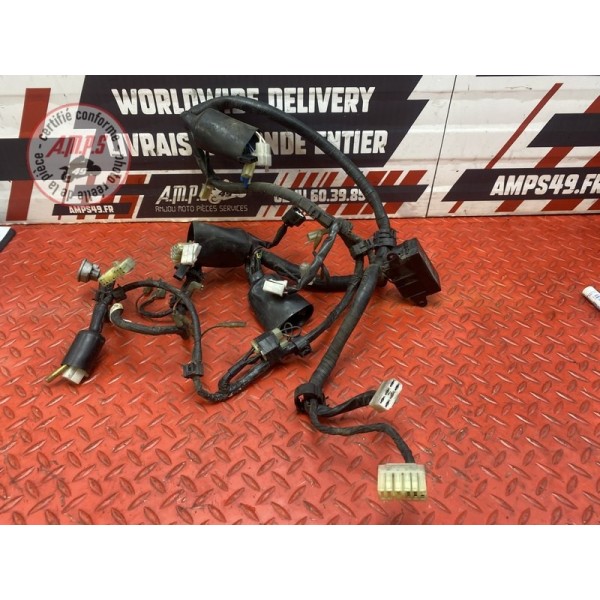 Faisceau électrique principale 