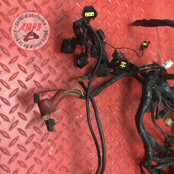 Faisceau électrique principale 