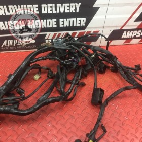 Faisceau électrique principale 