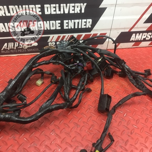 Faisceau électrique principale 