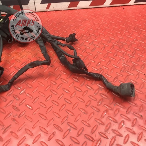 Faisceau électrique principale 