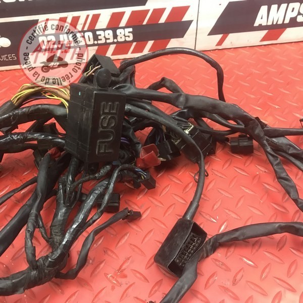 Faisceau électrique principale 