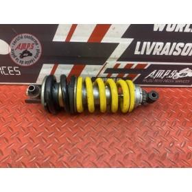 Amortisseur arrière 