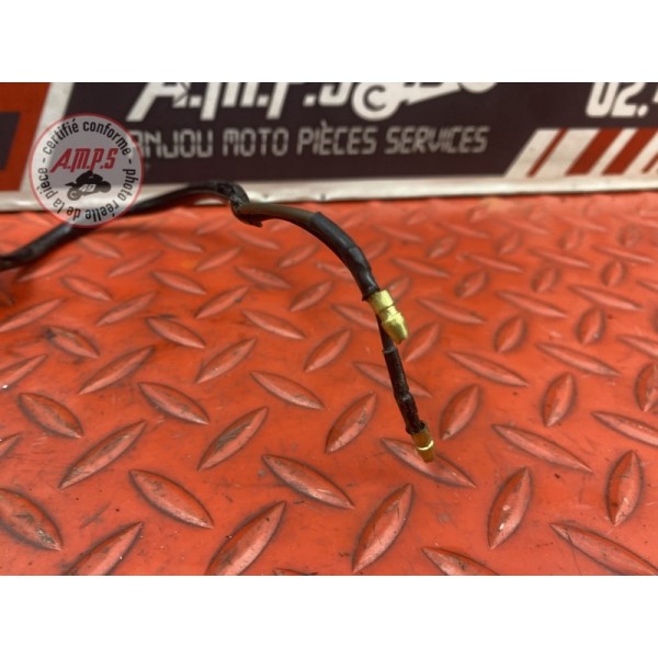 Clignotant arrière gauche 