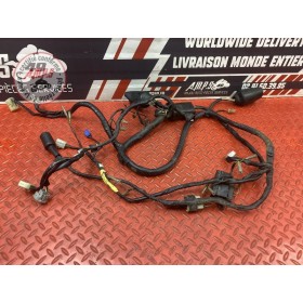 Faisceau électrique principale 