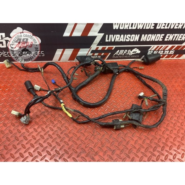 Faisceau électrique principale