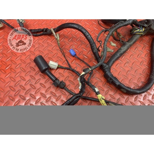 Faisceau électrique principale 