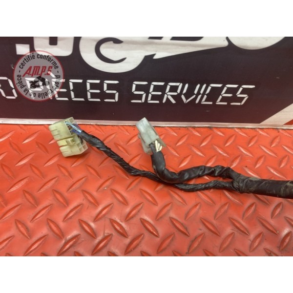 Faisceau électrique principale 