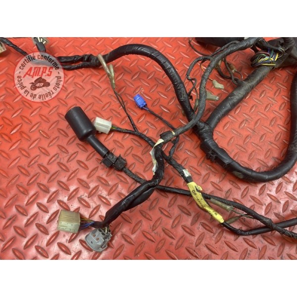 Faisceau électrique principale 