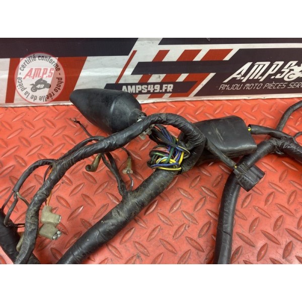 Faisceau électrique principale 