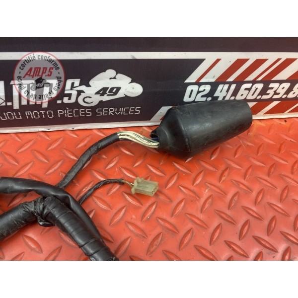 Faisceau électrique principale 