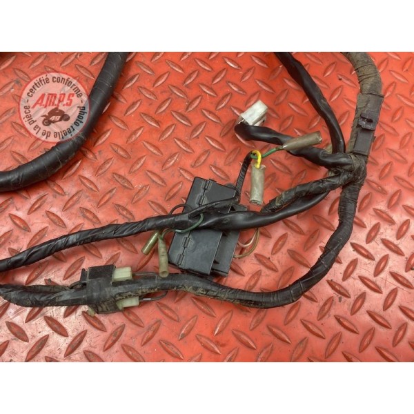 Faisceau électrique principale 