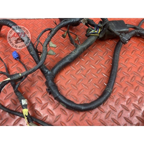 Faisceau électrique principale 