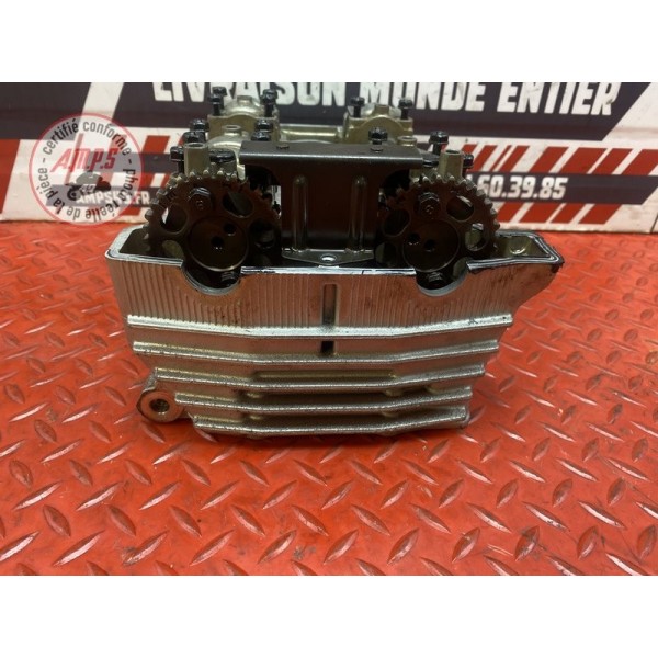 Culasse avec arbre a came 