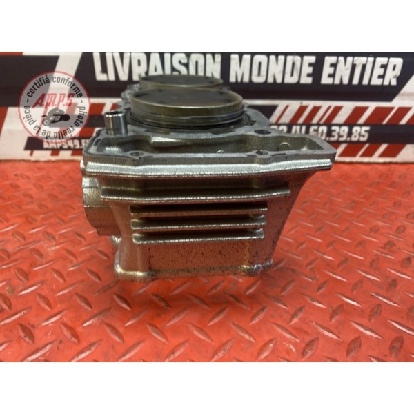 Cylindre avec pistons 