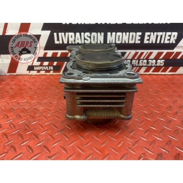 Cylindre avec pistons 