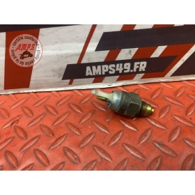 Sonde de température d'eau 