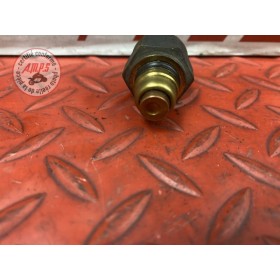 Sonde de température d'eau 