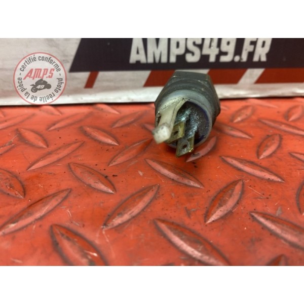 Sonde de température d'eau 