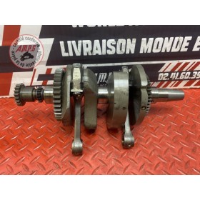 Vilebrequin avec bielles 