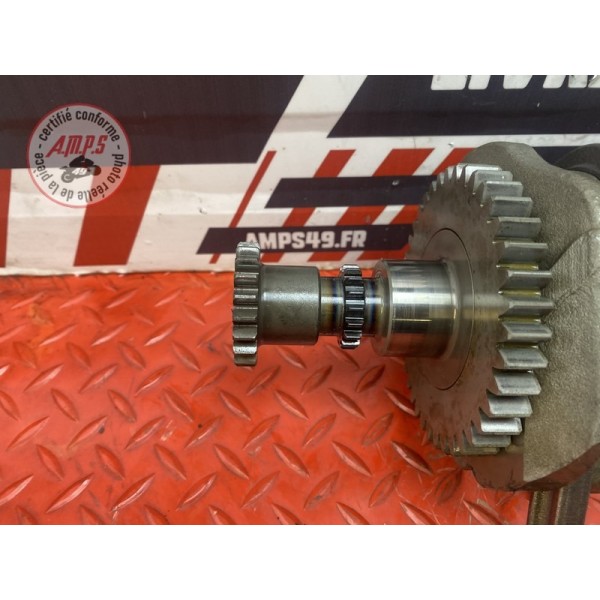 Vilebrequin avec bielles 