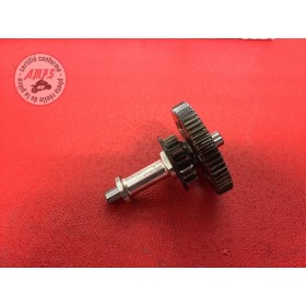 Pignon intermédiaire de démarreurS1000R14DK-409-GYH9-B11039051used