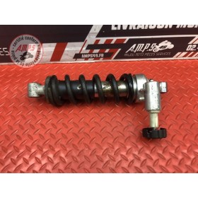 Amortisseur arrière 