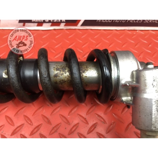 Amortisseur arrière 