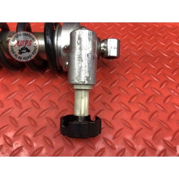 Amortisseur arrière 