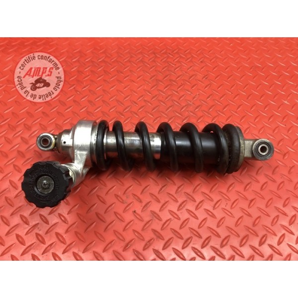 Amortisseur arrière 