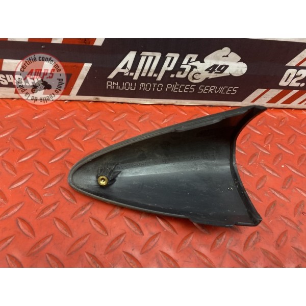 Ecope droit clignotant 