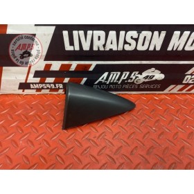 Ecope gauche clignotant 