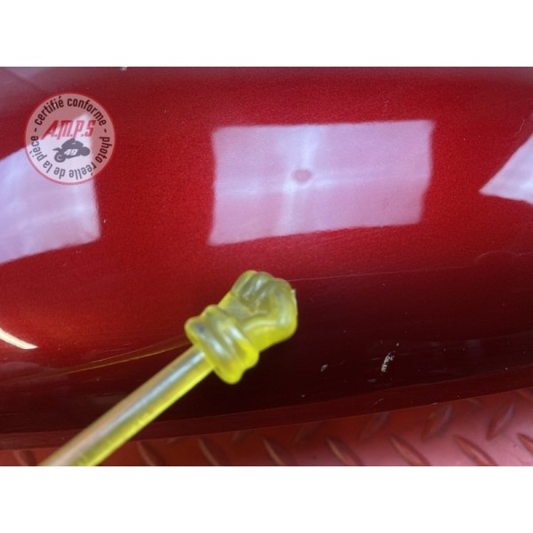 Flanc de carénage gauche 