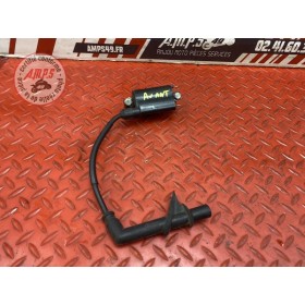 Bobine d allumage AV 