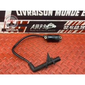 Bobine d'allumage AR 