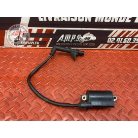Bobine d'allumage AR 