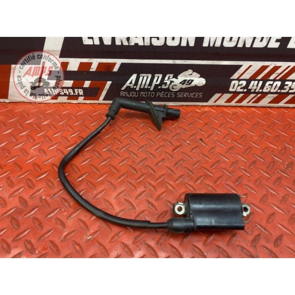 Bobine d'allumage AR 
