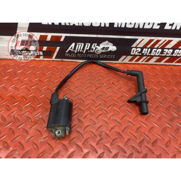 Bobine d'allumage AR 