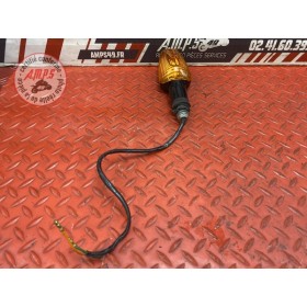 Clignotant arrière gauche 