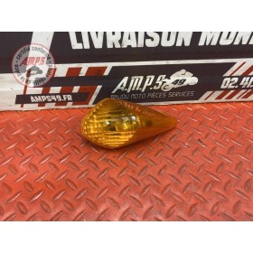 Clignotant avant droit 