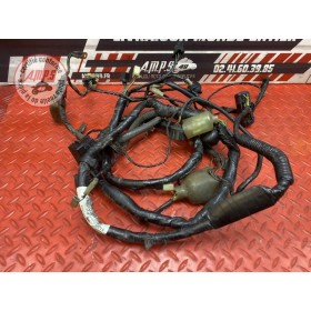 Faisceau électrique principale 